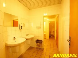 Pronájem kanceláře, Brno, Příkop, 20 m2