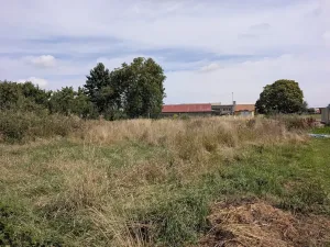 Prodej pozemku pro bydlení, Vyžice, 1205 m2