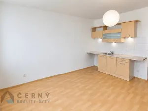 Pronájem bytu 1+1, Liberec, Řídkého, 36 m2