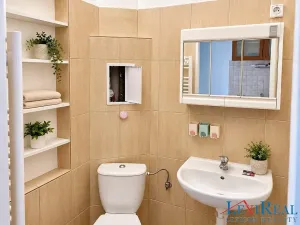 Pronájem bytu 1+1, Praha - Smíchov, Lidická, 35 m2