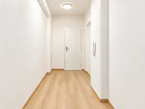 Prodej bytu 1+1, Brno, Bělohorská, 53 m2