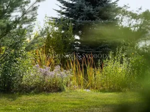 Prodej ubytování, Trhové Sviny, Rejta, 800 m2