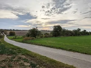 Prodej sadu/vinice, Brtnice, 1574 m2