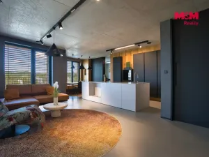 Prodej bytu 3+kk, Ostrava, F. X. Riepla, 133 m2