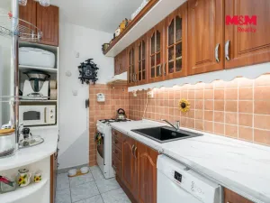 Prodej bytu 2+kk, Litoměřice - Předměstí, Kosmonautů, 67 m2
