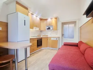 Pronájem bytu 3+1, Brno, Pionýrská, 98 m2