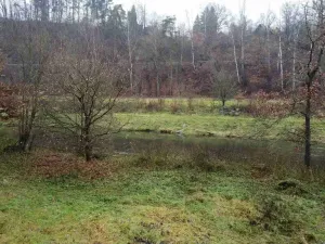 Prodej pozemku, Světlá nad Sázavou, 8621 m2