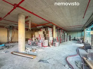 Pronájem obchodního prostoru, Ostrava, Na Prádle, 311 m2