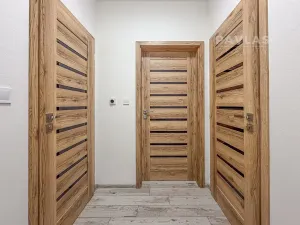 Pronájem bytu 2+kk, České Budějovice, Doudlebská, 67 m2