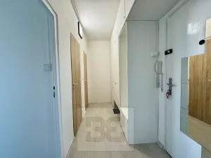 Pronájem bytu 1+1, Brno, Provazníkova, 37 m2