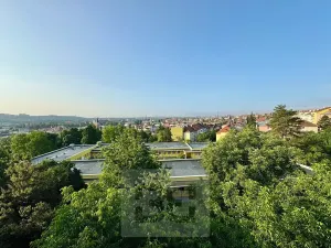 Pronájem bytu 1+1, Brno, Provazníkova, 37 m2