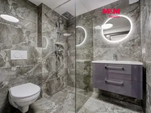 Prodej obchodního prostoru, Plzeň - Východní Předměstí, Ořechová, 26 m2