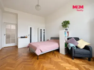 Pronájem bytu 1+kk, Praha - Vinohrady, Vinohradská, 38 m2