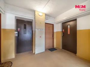 Prodej bytu 1+1, Příbram - Příbram VIII, Čechovská, 33 m2