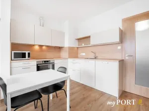 Pronájem bytu 1+kk, Plzeň, Hálkova, 41 m2