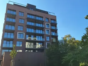 Pronájem bytu 2+kk, Praha - Karlín, Švarcova, 57 m2