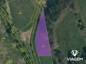 Prodej pole, Dolní Cerekev, 890 m2