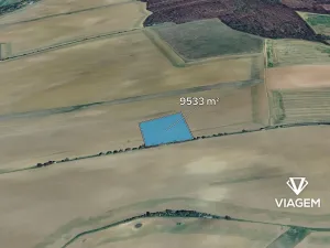 Prodej podílu pole, Zborovice, 1191 m2