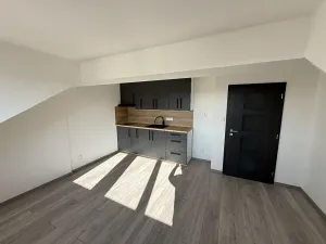 Prodej bytu 1+kk, Plzeň, Rokycanská, 27 m2