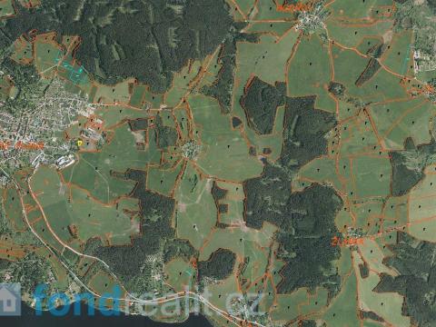 Prodej zemědělské půdy, Horní Planá, 45926 m2