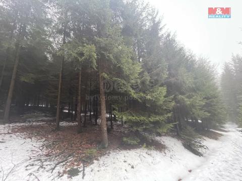 Prodej lesa, Česká Třebová - Svinná, 26820 m2