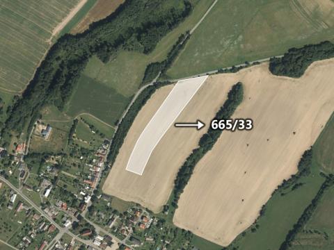 Prodej zemědělské půdy, Domašov u Šternberka, 5299 m2