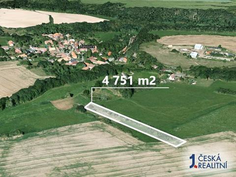 Prodej zemědělské půdy, Lašovice, 4751 m2