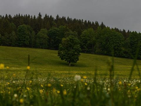 Prodej podílu zahrady, Útvina, 3314 m2