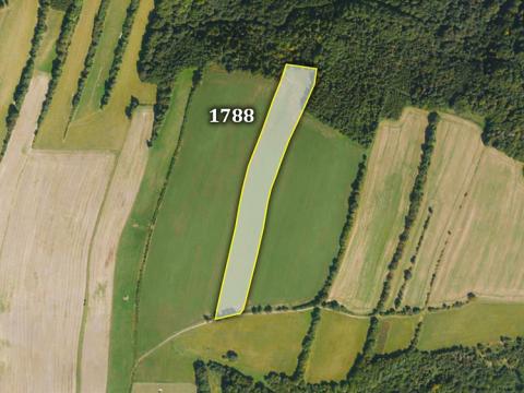 Prodej zemědělské půdy, Spálov, 31594 m2