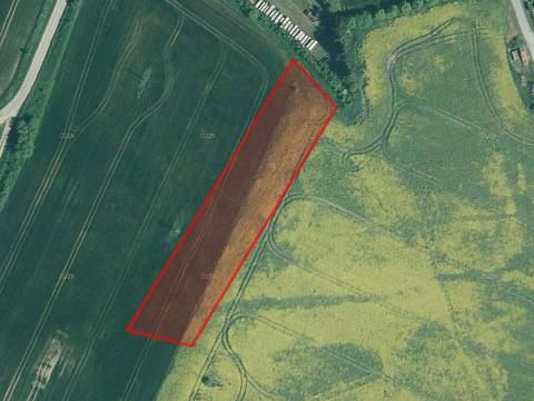 Prodej zemědělské půdy, Dražíč, 4916 m2
