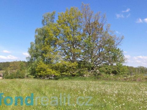 Prodej pozemku, Mnichovo Hradiště - Dobrá Voda, 319 m2