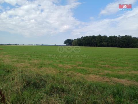 Prodej pozemku pro bydlení, Suchdol nad Lužnicí, 1500 m2