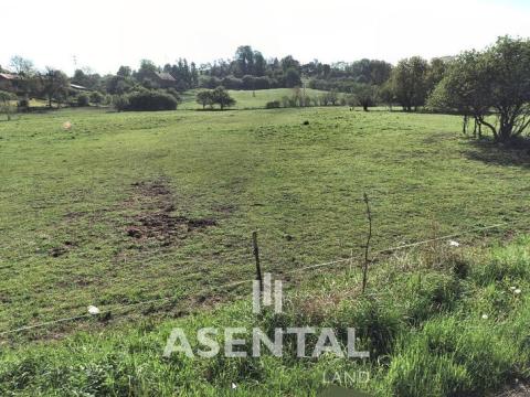 Prodej zahrady, Hustopeče nad Bečvou - Poruba, 11795 m2