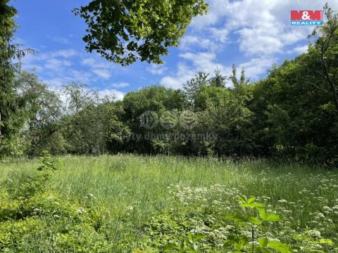 Prodej pozemku pro bydlení, Proseč - Česká Rybná, 3049 m2