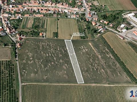 Prodej podílu sadu/vinice, Dětkovice, 1119 m2