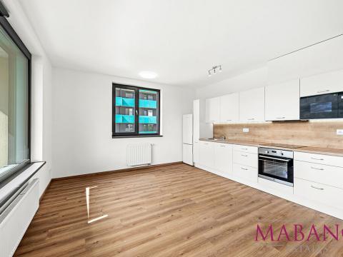 Pronájem bytu 2+kk, Praha - Žižkov, Olgy Havlové, 52 m2