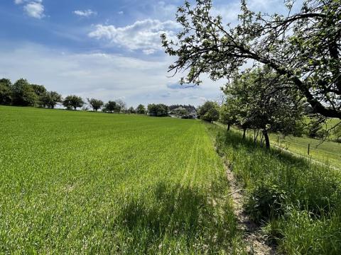 Prodej pozemku pro bydlení, Chocnějovice, 12701 m2