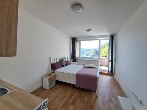 Prodej bytu 1+kk, Všemina, 28 m2