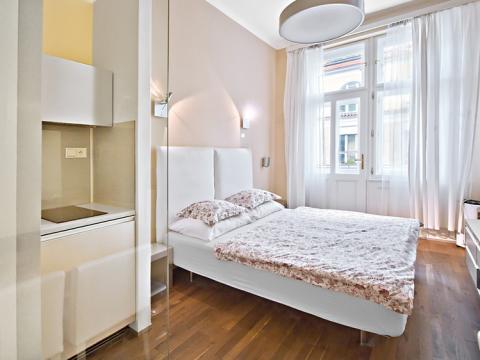 Pronájem bytu 1+kk, Praha - Staré Město, 26 m2