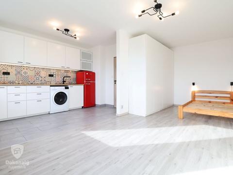 Pronájem bytu 1+kk, Praha - Hloubětín, Šestajovická, 30 m2