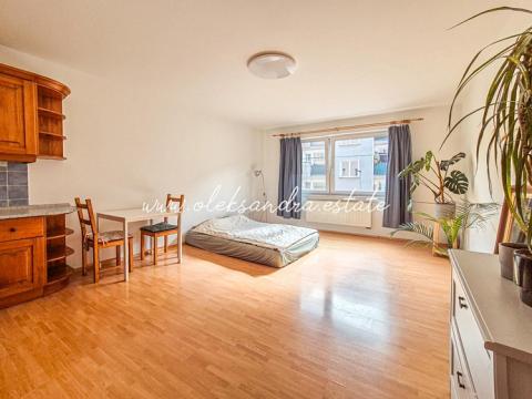 Pronájem bytu 1+kk, Praha - Podolí, Sinkulova, 34 m2