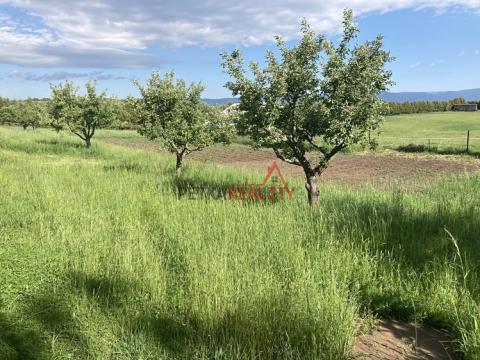 Prodej pozemku pro bydlení, Žalany, Pražská, 2345 m2