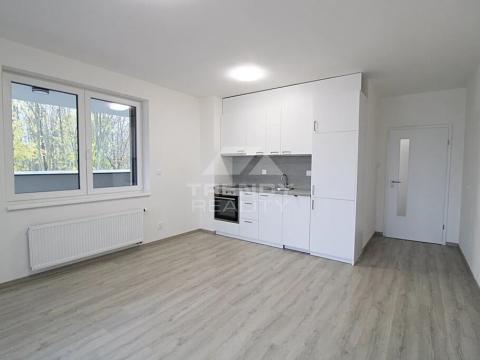 Pronájem bytu 2+kk, Plzeň, Heyrovského, 56 m2