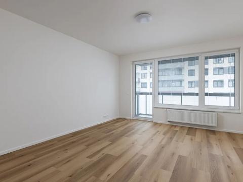 Pronájem bytu 1+kk, Praha - Hloubětín, Laponská, 34 m2