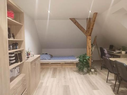 Pronájem bytu 1+kk, Plzeň, Pod Švabinami, 47 m2