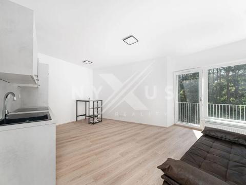 Pronájem bytu 1+kk, Praha - Štěrboholy, Pod areálem, 33 m2