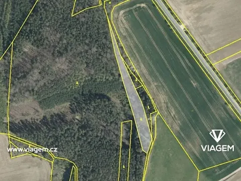 Prodej podílu lesa, Stříbro, 1620 m2