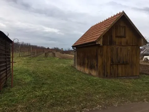 Prodej sadu/vinice, Břeclav, 2386 m2