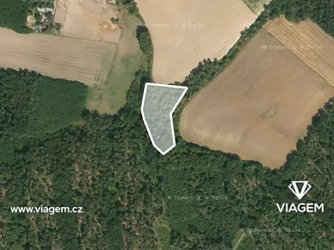 Prodej podílu lesa, Vrbice, 1226 m2