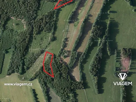 Prodej podílu lesa, Roztoky u Semil, 6000 m2